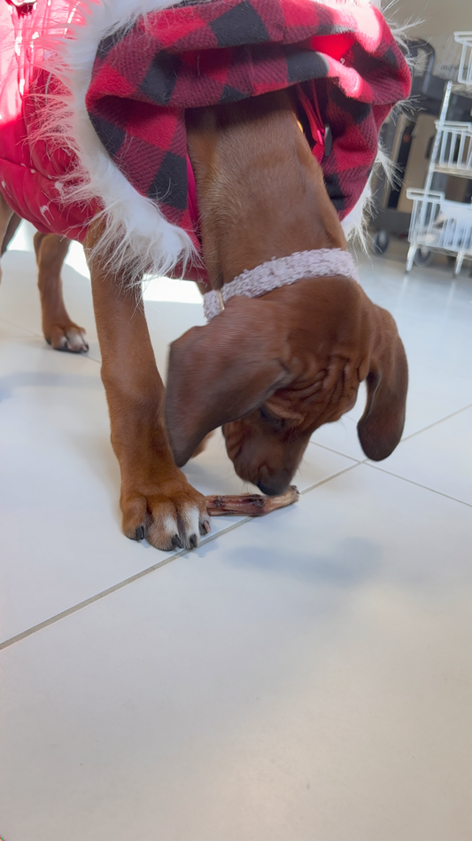 Dehydrated Duck Feet for Dogs