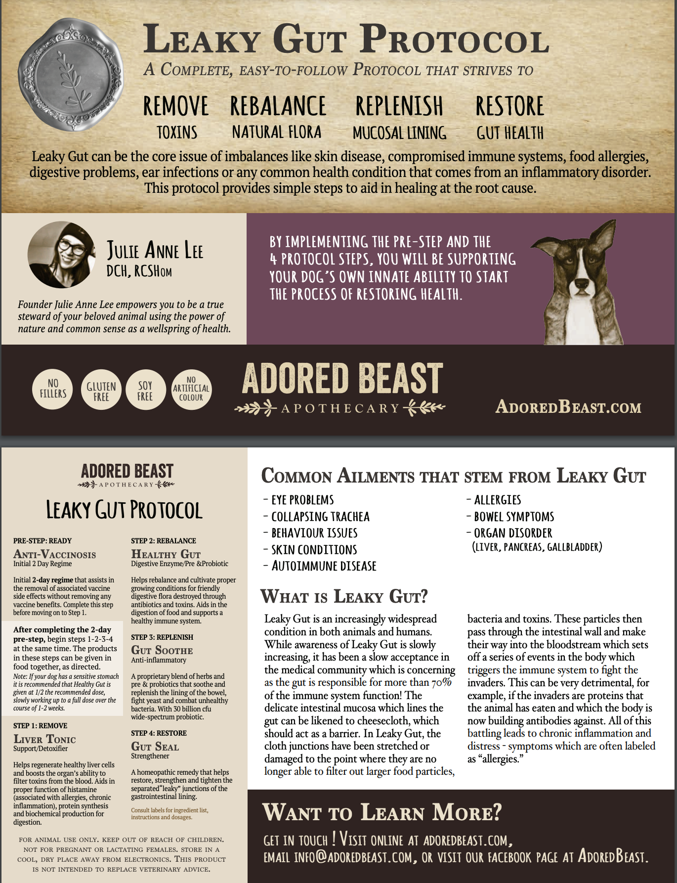 Leaky Gut Protocol image 3