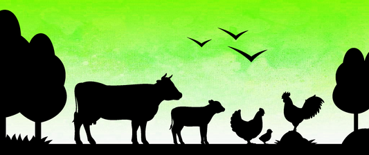 Kaskazini Special Variety Pack (15/22/30/44lb/75lb) image 0