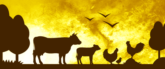 No Pork Variety Pack