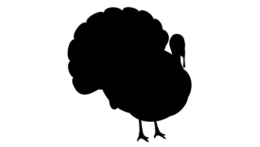 Turkey Dinner image 0