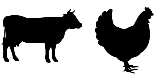 Beef and Chicken image 0