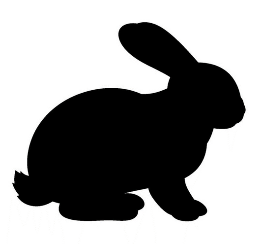 Cat Food with Rabbit image 0