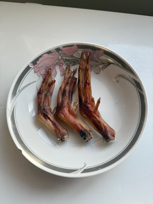 Dehydrated Duck Feet for Dogs
