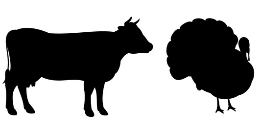 Beef & Turkey image 0