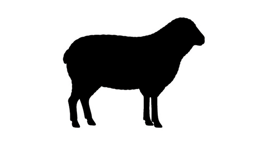 Australian lamb image 0