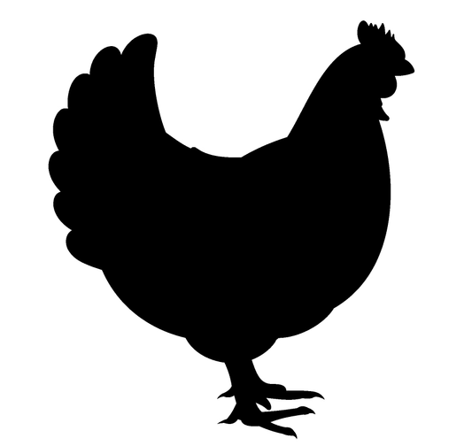 Everyday Chicken image 0